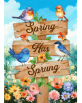 [Spring Has Sprung Sign Banner]