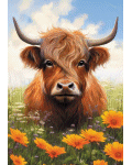 [Highland Cow Banner]
