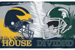 [Michigan / Michigan State House Divided Flag]