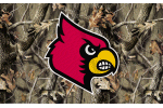 [University of Louisville Flag]