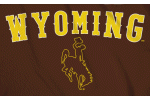 [University of Wyoming Flag]
