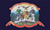 Maryland U.S. 1st Infantry flag