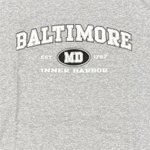 Baltimore Inner Harbor Gray Tee Shirt