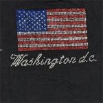 Washington DC / US Flag Tee Shirt
