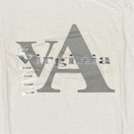 Virginia Gray Tee Shirt