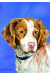 [Dog banners]