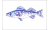 [Fisherman Catch flags]