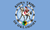 [Native American flags]