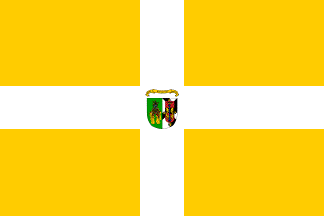 UCSD flag