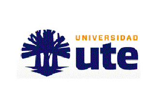 UTE flag