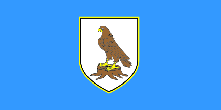 [Municipality flag]