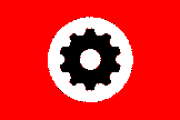 neo-nazi flag